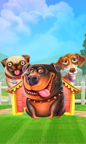 The Dog House slot by Pragmatic Play at Spingranny